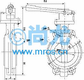 DN50Լʽ¶Ϊ-20t+120棩