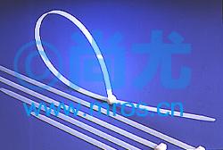 0301ߴ Ŵ