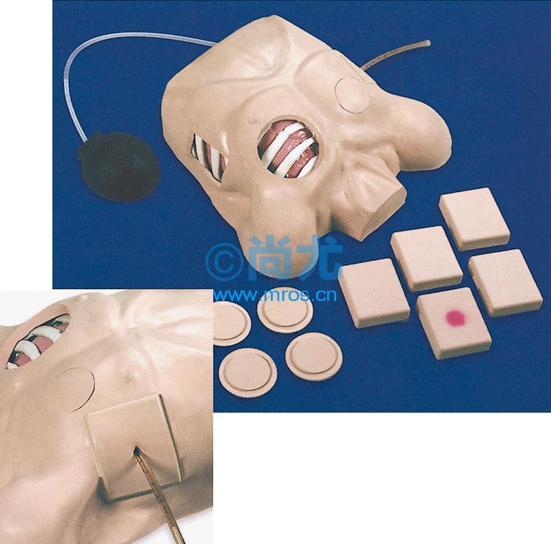 ǻʽģChest Tube Manikin