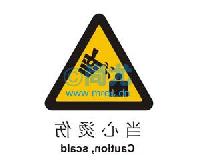 -ʾ(۱ϩ/250*315mm) -Ŵ