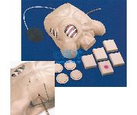 ǻʽģChest Tube Manikin -Ŵ