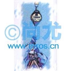 9930063Զ Ŵ