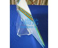 20ҳA4չʾ -Ŵ