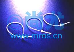 0310ߴ Ŵ