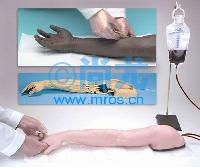 Life/form߼ע/ֱģLife/form® Advanced Injection Arm - WhiteͼƬ(1)