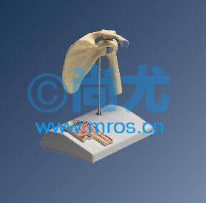 ¹Сͼؽڴ沿ģ Ŵ