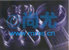 ѹϸ(50*9mm) Ŵ