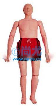 ˮϾģWater Rescue Training Manikin Ŵ