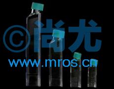 ͨһˮĤϸƿ(50ml) Ŵ