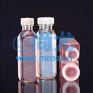 ϡƿ(205ml) Ŵ