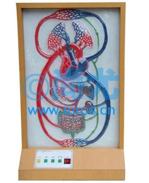 ĶڼСѭģ(L510*L230*H860mm) Ŵ