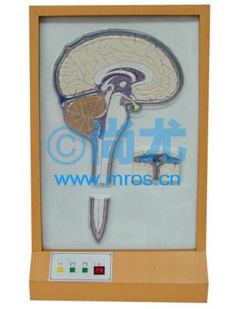 ԼҺѭ綯ģ(L510*W230*H860mm) Ŵ