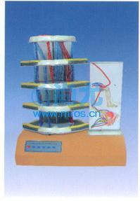 跴/˵綯ģ(L650*W330*H670mm) Ŵ
