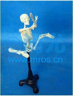 ͹ģ(H20cm) Ŵ
