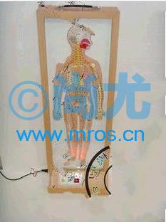 ʽȫ񾭵綯ģ(L380*W180*H1080mm) Ŵ