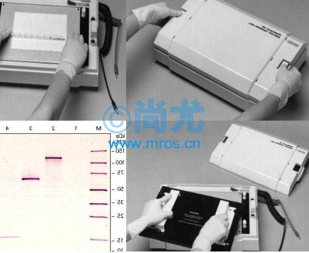 תӡ/Trans-Blot SD System(1-4)(2)Ŵ