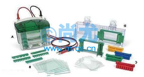 СʹֱӾ(Ŀ齺)Mini-PROTEAN Tetra Cell(1.0mm(4)Ŵ