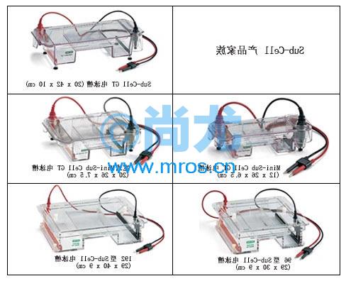 Mini-Sub Cell GTˮƽӾ(2)Ŵ
