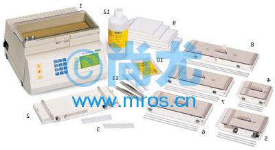 ȵ۽/PROTEAN IEF System(2.4mA )(4)Ŵ