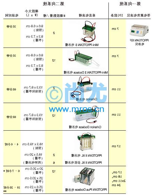 ȵ۽/PROTEAN IEF System(2.4mA )(2)Ŵ