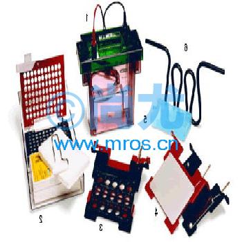 תӡӾģ/Mini Trans-Blot Module(2Mini-PROTEAN te Ŵ