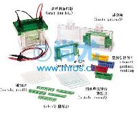 СʹֱӾ(Ŀ齺)Mini-PROTEAN Tetra Cell(0.75mm -Ŵ