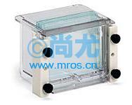 ེ/Mini-PROTEAN 3(12) Ŵ
