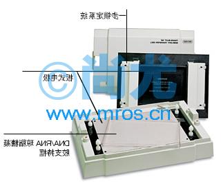 תӡ/Trans-Blot SD System(1-4)(1)Ŵ