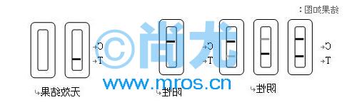 ⾫Լ(10/)(3)Ŵ