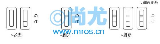 Һ̬лùM1/M2Լ(10/)(3)Ŵ