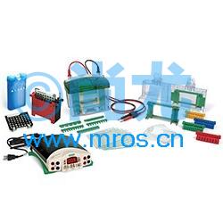 СWBϵͳMini-PROTEAN Tetra WB System Ŵ