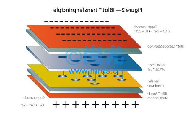 iBlot® Gel Transfer Device/ӢΫݻת(4)Ŵ